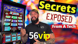 56vip.com